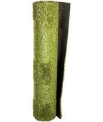 FOTO_1