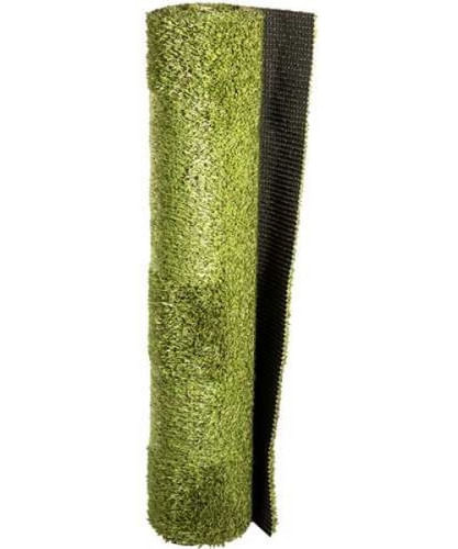 FOTO_1