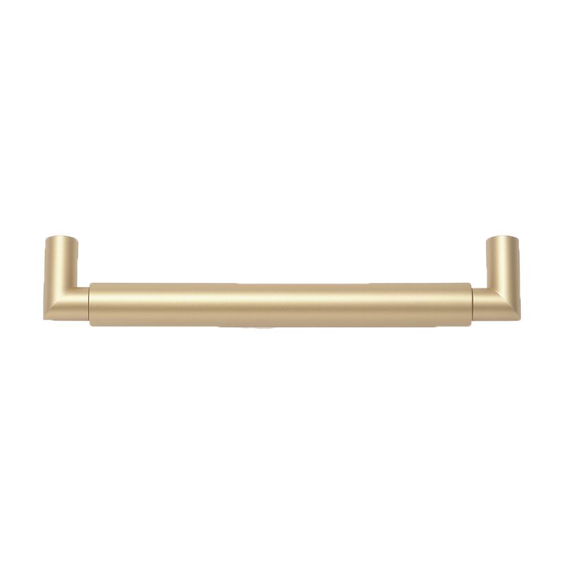 Dourado1