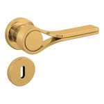 Dourado_1