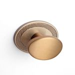 Puxador Beetle com Base Granada Gold Escovado Zen 51237_0