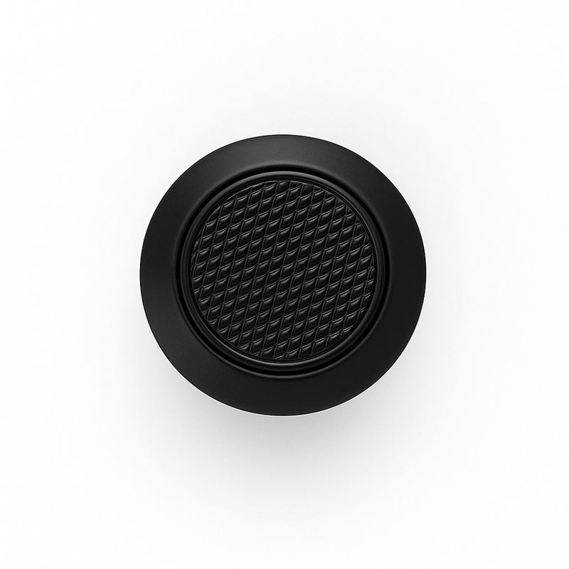 Disk P_Preto_2